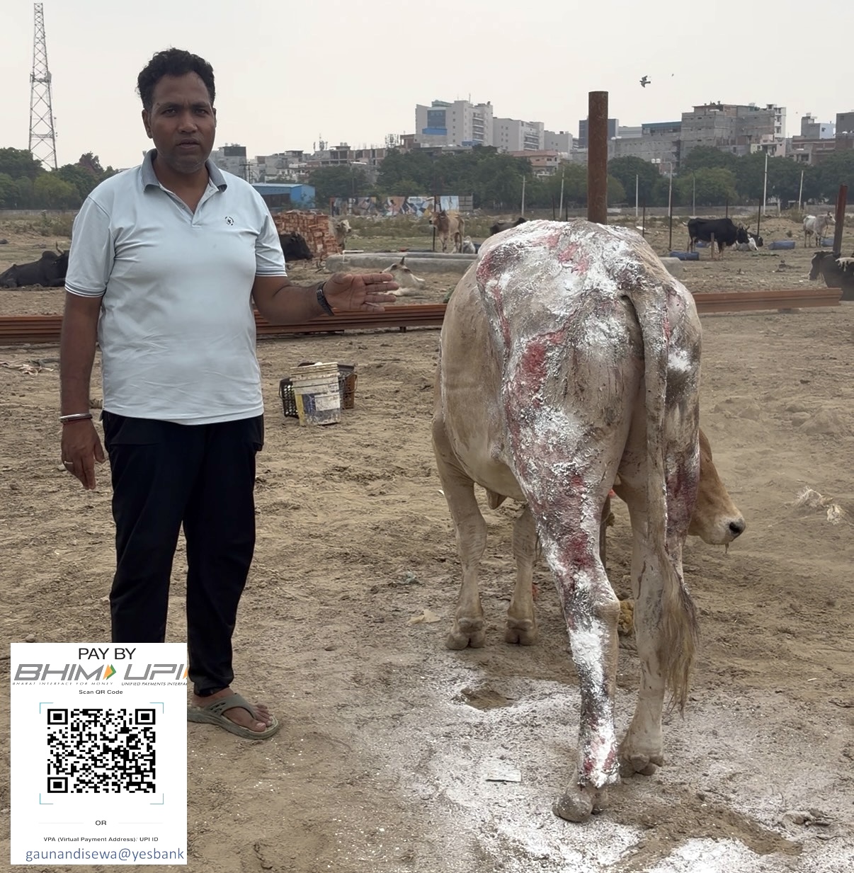 Sawan's wound treatment